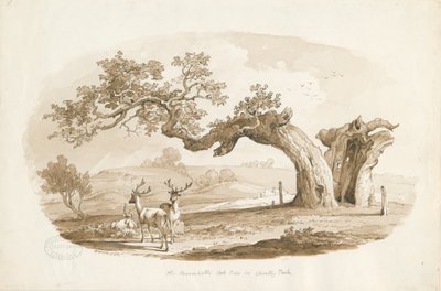Chartley Hall - Park: sepia-tegning (vignetteret) af Thomas Peploe Wood