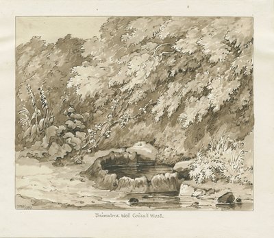 Codsall Wood - Brimstone Well: sepia tegning af Thomas Peploe Wood