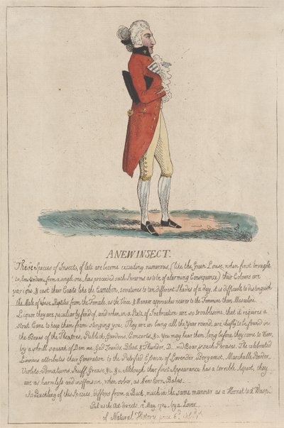 Et nyt insekt af Thomas Rowlandson