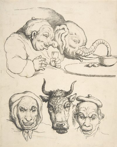Sammenlignende anatomi, 1800-25., 1800-25. af Thomas Rowlandson