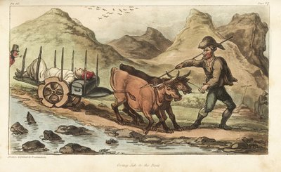 Fænrik Johnny Newcome, syg af dysenteri, taget med oksevogn til Salamanca, Spanien. Håndfarvet kobberstik tegnet og ætset af Thomas Rowlandson fra oberst David Roberts