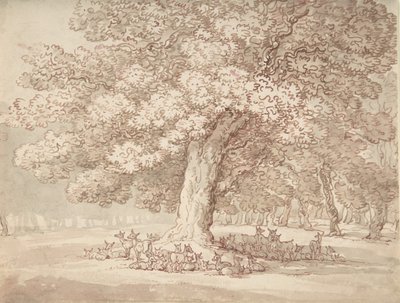 Flok hjorte under et egetræ, 1775-1827. af Thomas Rowlandson