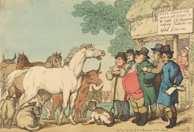 Forsikreligt kvæg, udgivet 1809. af Thomas Rowlandson
