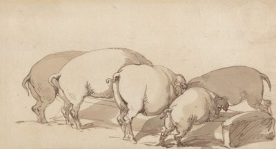 Grise ved et fodertrug af Thomas Rowlandson