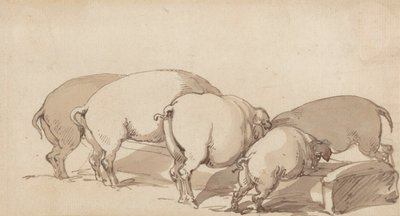 Pigs at a Trough, ca. 1790 (grafit med pen og blæk og brun vask på papir) af Thomas Rowlandson