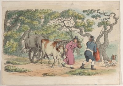 Plade 40, fra World in Miniature, 1816., 1816. af Thomas Rowlandson
