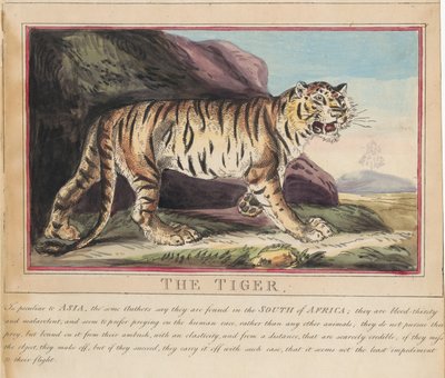 Sæt med otte billeder med titelblad. »Udenlandske og indenlandske dyr.« 5. Ulven af Thomas Rowlandson