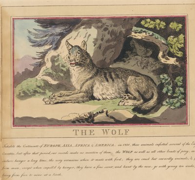 Sæt med otte billeder med titelblad. »Udenlandske og indenlandske dyr.« 5. Ulven af Thomas Rowlandson