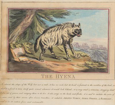 Sæt med otte billeder med titelblad. »Udenlandske og indenlandske dyr.« 6. Hyænen af Thomas Rowlandson