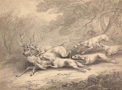 Hjort nedlagt af en flok hunde af Thomas Rowlandson