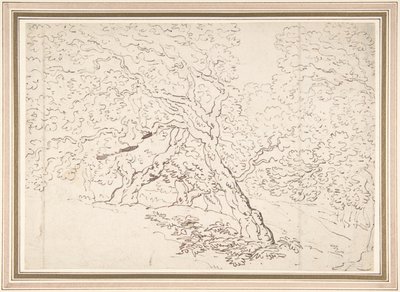 Undersøgelse af træer af Thomas Rowlandson