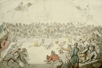 Westminster Pitt, 1798 af Thomas Rowlandson