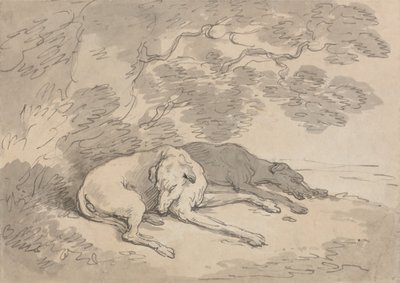 To mynder, der ligger under et træ af Thomas Rowlandson