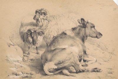 En ko og to væddere af Thomas Sidney Cooper