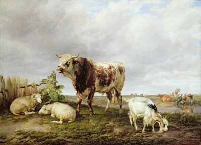 Kvæg i Engen af Thomas Sidney Cooper