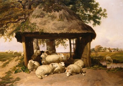 Får hviler under et læ af Thomas Sidney Cooper