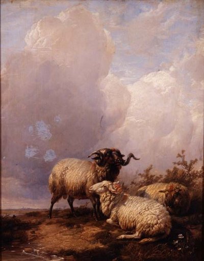 Får i Landskab af Thomas Sidney Cooper