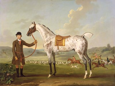 Scipio, oberst Roches plettede jæger, ca. 1750 af Thomas Spencer