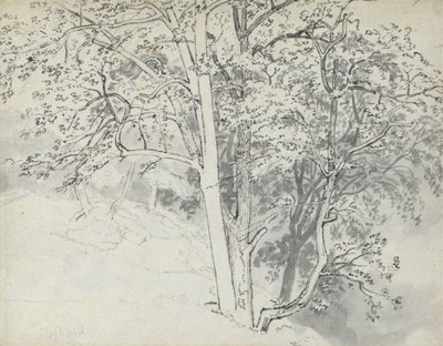Undersøgelse af træer af Thomas Stothard