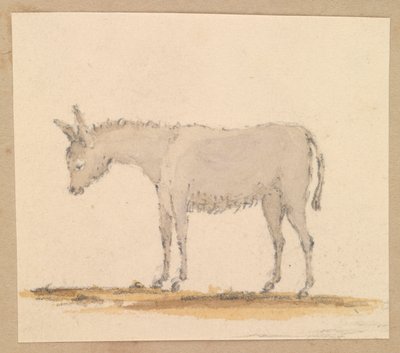 Studie af et æsel, ca. 1820 (pen og blæk, lakering, akvarel) af Thomas Streatfeild