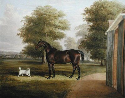 En Bay Horse med en Terrier af Thomas W. Bretland