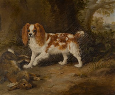 En spaniel med en død hare, ca. 1822-74 (olie på lærred) af Thomas W. Bretland