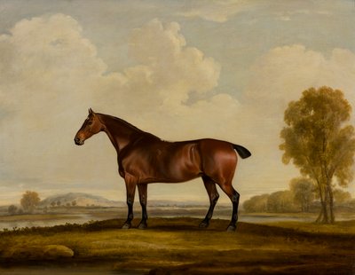 Georgiana: a Horse, ca. 1819 (olie på lærred) af Thomas Weaver