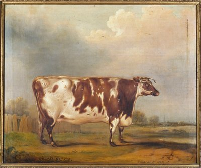 Wildair, en otte-årig kvie i et flodlandskab, 1827 af Thomas Weaver