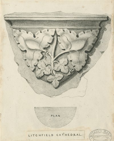 Interiør af Lichfield Cathedral - Udskåret løv: litografi og [? 1800-tallet] (tryk) af Thomas Witlam Atkinson