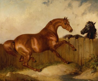 Hingst og hoppe (olie på lærred) af Thomas Woodward