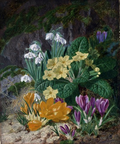 Forårsblomster (bl.a. krokus og primula). Maleri af Thomas Worsey (1829-1875) Privat samling. af Thomas Worsey