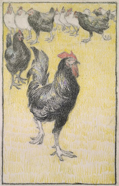 Hane, efterfulgt af sorte og hvide høns (grafit med sort og farvet kridt på hvidt papir, kantet med en streg i sort kridt) af Théophile Alexandre Steinlen