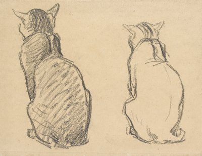 To undersøgelser af en kat, begyndelsen af det 20. århundrede af Théophile Alexandre Steinlen