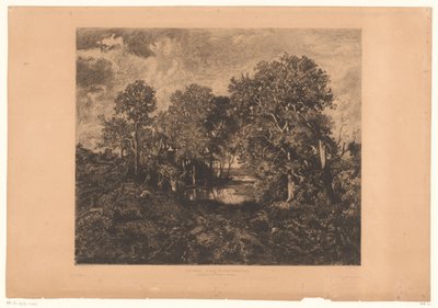 Udsigt over skoven i Fontainebleau med en figur ved en vandpyt Une Mare - Forêt de Fontainebleau. (titel på objekt) af Théophile Chauvel