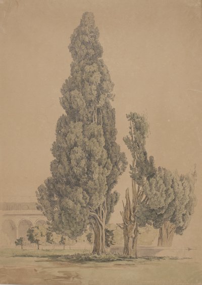 Cypresser af Thorald Brendstrup
