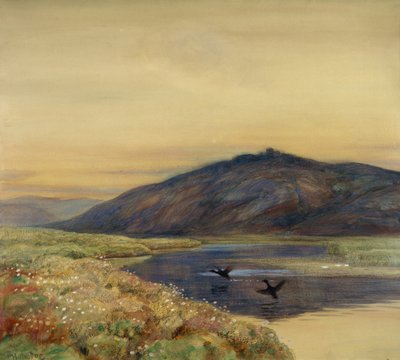 Landskab med fugle af Thorolf Holmboe