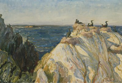 Havfugl af Thorolf Holmboe