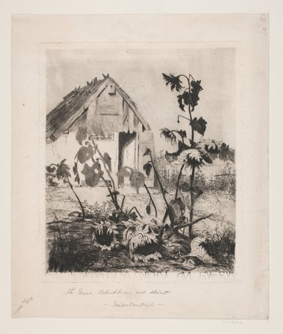 Solsikkerne ved huset af Thorvald Niss