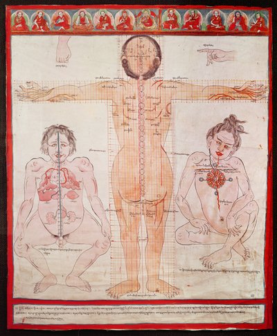 Anatomical Chart, 1938 (pen og akvarel på stof lagt på lærred) af Tibetan School