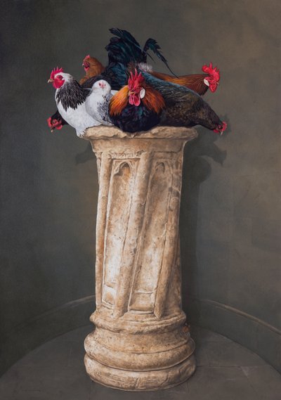 Høns, øjnene nedad af Tim Hayward