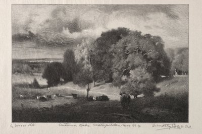 Autumn Oaks af Timothy Cole