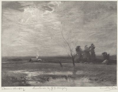 Lavland af Timothy Cole after John Francis Murphy