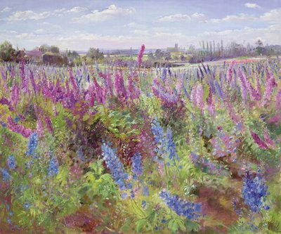 Delphinium mark og kirke af Timothy Easton
