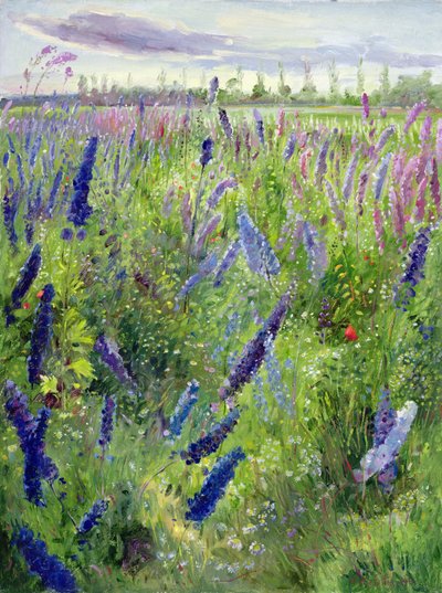 Delphiniums og spirende sol af Timothy Easton