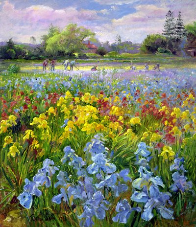 Hoeing Team og Iris Fields af Timothy Easton