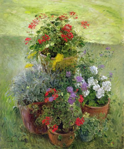 Shaded Pots (olie på lærred) af Timothy Easton
