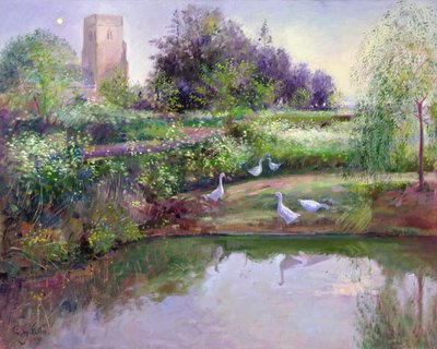 Solnedgangsrefleksioner af Timothy Easton