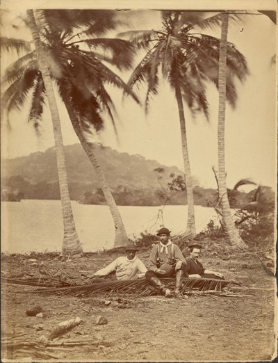 [Besætningsmedlemmer fra Selfridge-ekspeditionen til Isthmus Darién (Panama)]. af Timothy H. OSullivan