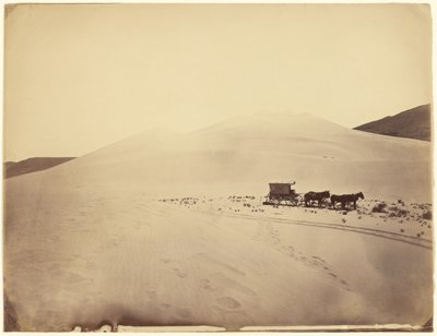 [Desert Sand Hills nær Sink of Carson, Nevada] af Timothy H. O
