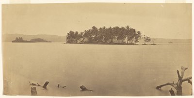 [Darién-landtangen (Panama)] af Timothy H. O